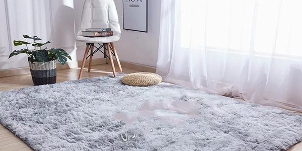 Kinh nghiệm vệ sinh thảm lông